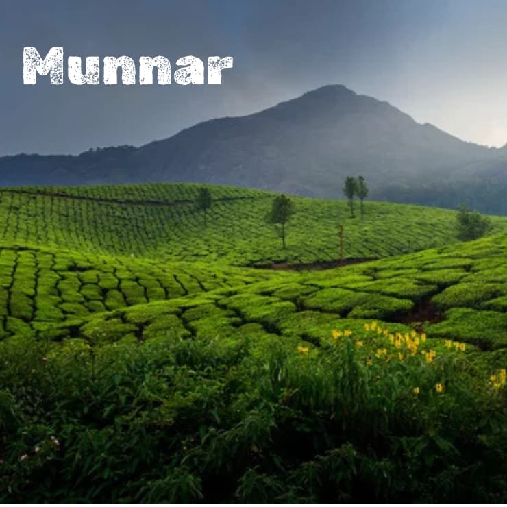 munnar.jpg